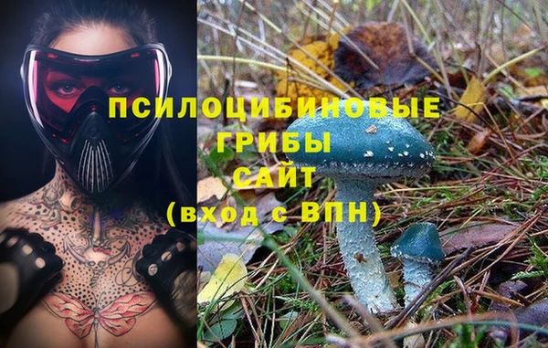 винт Алзамай