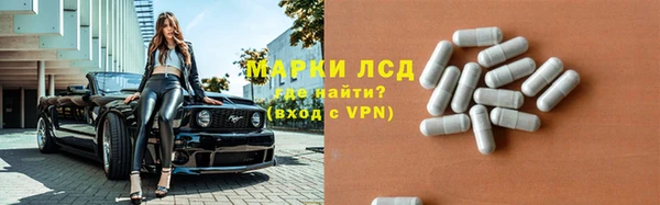 винт Алзамай