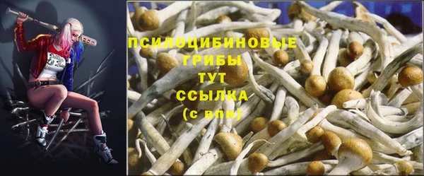 винт Алзамай