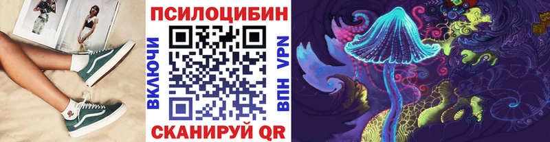 Псилоцибиновые грибы Cubensis  Минусинск 