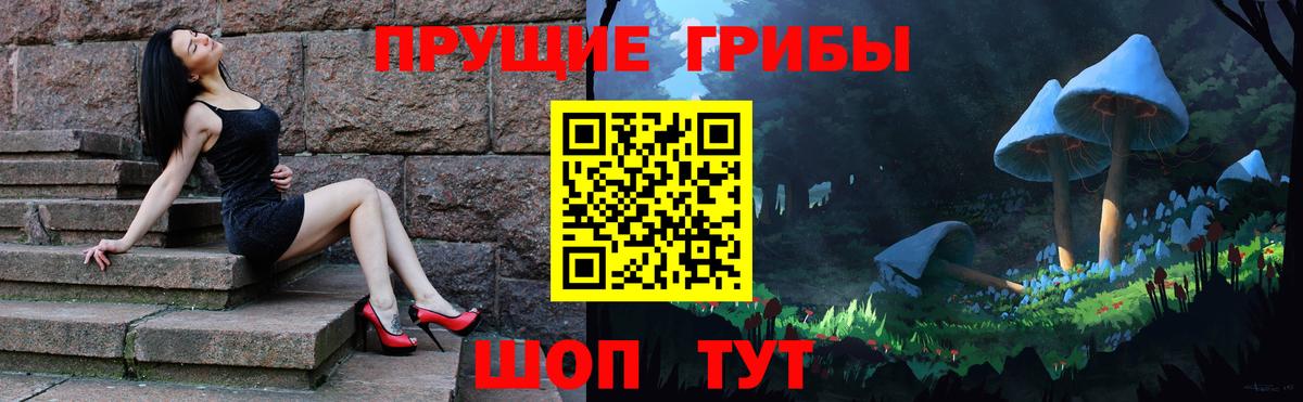 Галлюциногенные грибы Psilocybe Минусинск