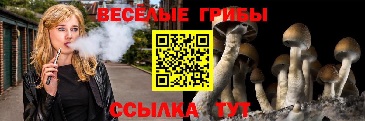Псилоцибиновые грибы Psilocybine cubensis  где можно купить   Минусинск  Вход с VPN 